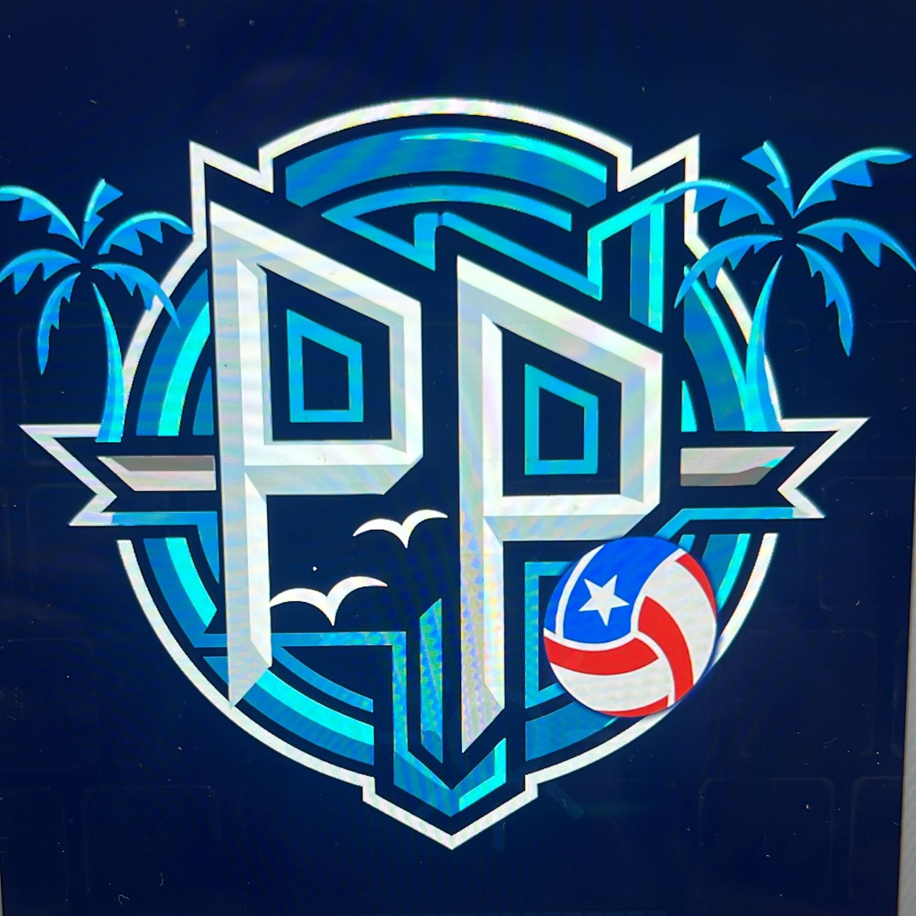 Ponce Playeros